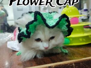 Cat Caps