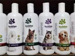 Dog Buddies Shampoo with Protection Formula - Rich - Fluffy and Shiny Coats - Buddies - 473ml