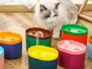 Cat Water Fountain