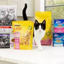 Cat Dry Food