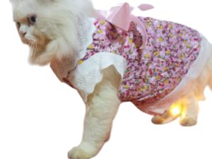 Summer Floral pink Bow frock Cat Dress