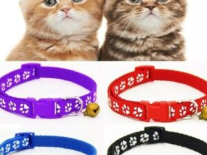 Cat Collar with Bells