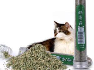 CATNIP - Catnip Leaves - Best For All Cats - Specially Aggressive Cats - The Ultimate Cat Treat