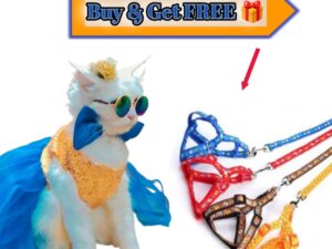Cat kitten Pet Dress & Cat harness Combo Deal (Pack of 2)