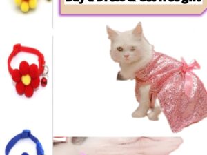 Cat kitten Pet Dress & Cat Collors Combo Deal (Pack of 2)