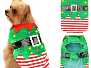 Puppy Christmis shirt with Bells (0-6 months)