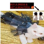 Cat kitten Pet Dress with free  Earrings