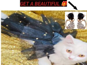 Cat kitten Pet Dress with free  Earrings