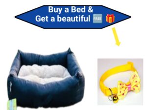 Cat Puppy Bed with free Gift