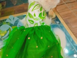 Independence Day Summer Frock