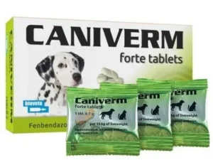 Caniverm Deworming Tablet for Dogs and Cats (PER TAB)