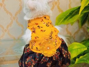 Summer Bee Flower frock Cat Dress