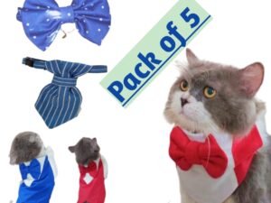 Party Kit - Combo Deals - Pack of 5 - Random Colors