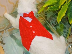 Mickey mouse Male tuxedo shirt