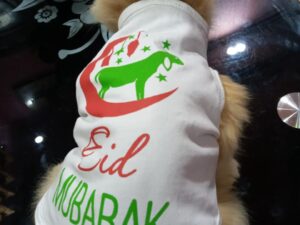 Eid Mubarak Goat Cat Dress - Green