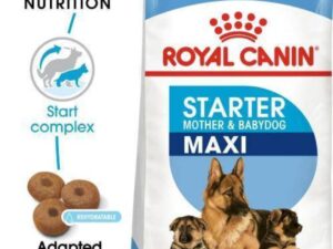 Royal Canin Maxi Starter