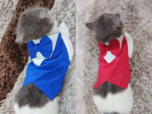 Tuxedo Bow Shirt Pet Dress