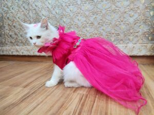 Pet Vest Skirts Lace Mesh Princess Dress Puppy Dog Clothes Pet Dress Frock - Shocking Pink