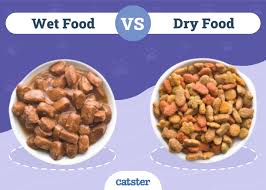 Wet Cat Food