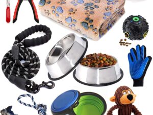 Dog Accessories
