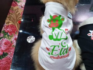 Eid-ul-Azha Dresses