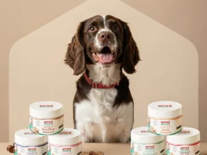 DOG SUPPLEMENTS