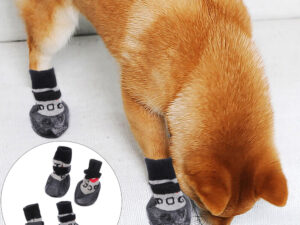 Pet Shoes & Socks